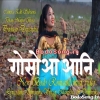  Gwswa Angni Usao Badao (2021) Mp3 Songs 