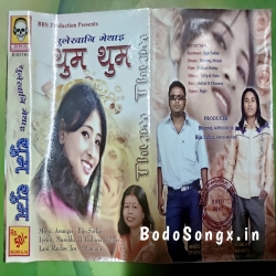 Mithibaisw Mp3 Song